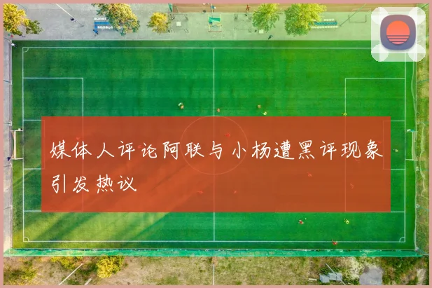 媒体人评论阿联与小杨遭黑评现象引发热议