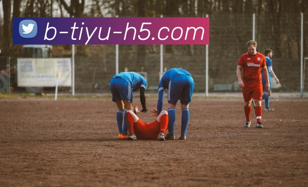 多媒体互动体验