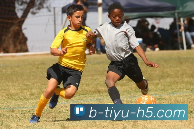 B体育APP 高清赛事图